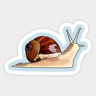 Snail cartoon illustration Sticker